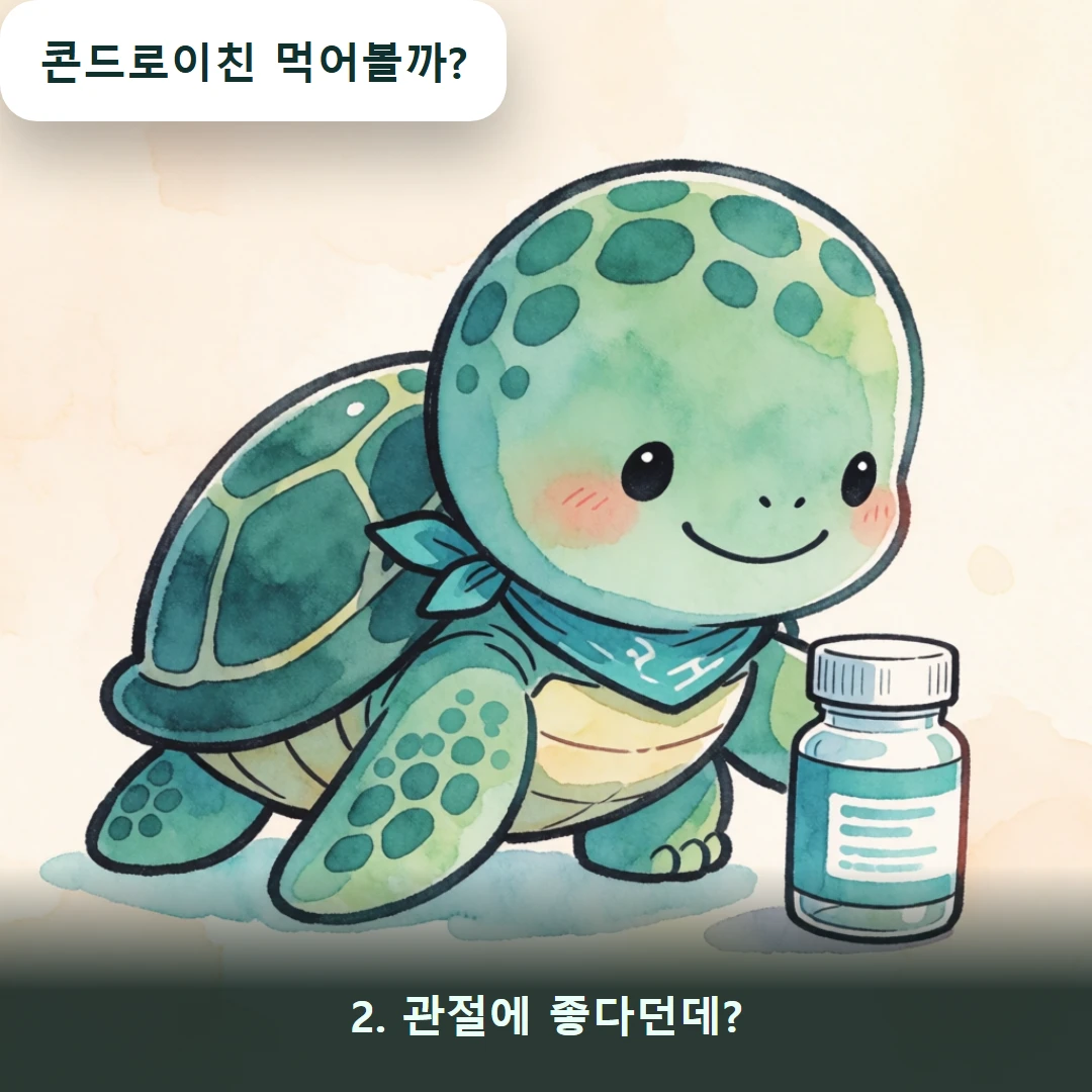 웹툰 2컷 — 2. 관절에 좋다던데? (콘드로이친 먹어볼까?)