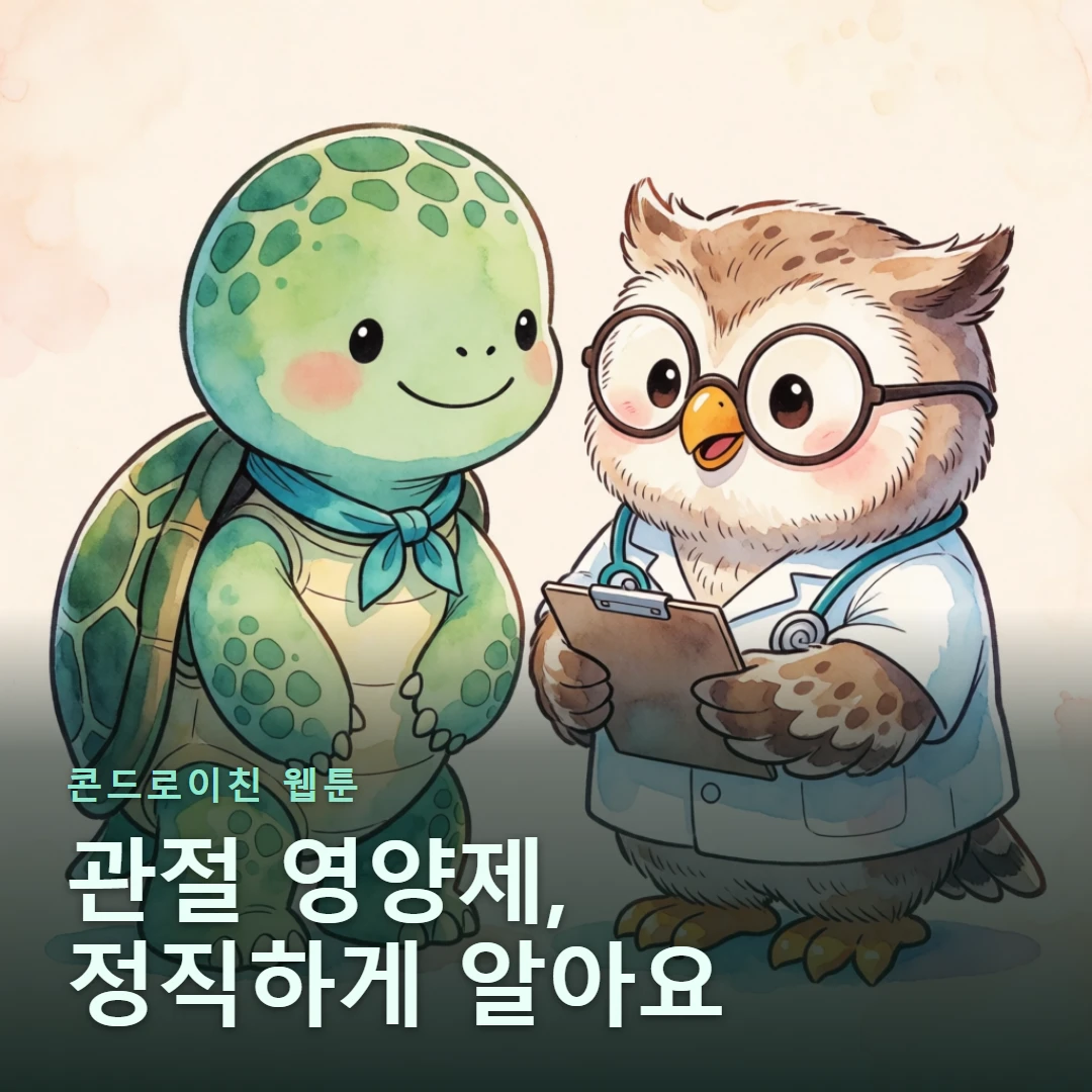 콘드로이친 웹툰 표지 — 관절 영양제, 정직하게 알아요