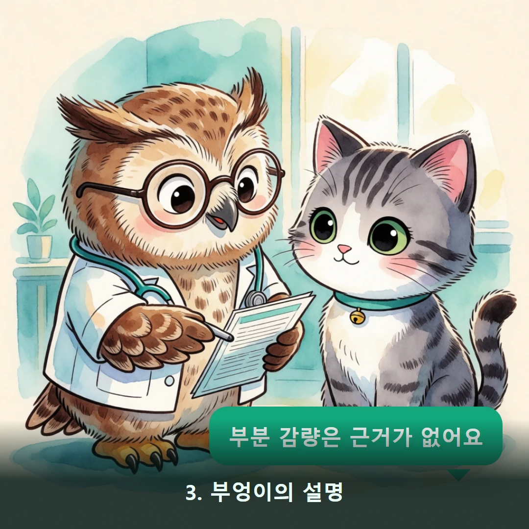 웹툰 3컷 — 3. 부엉이의 설명 (부분 감량은 근거가 없어요)