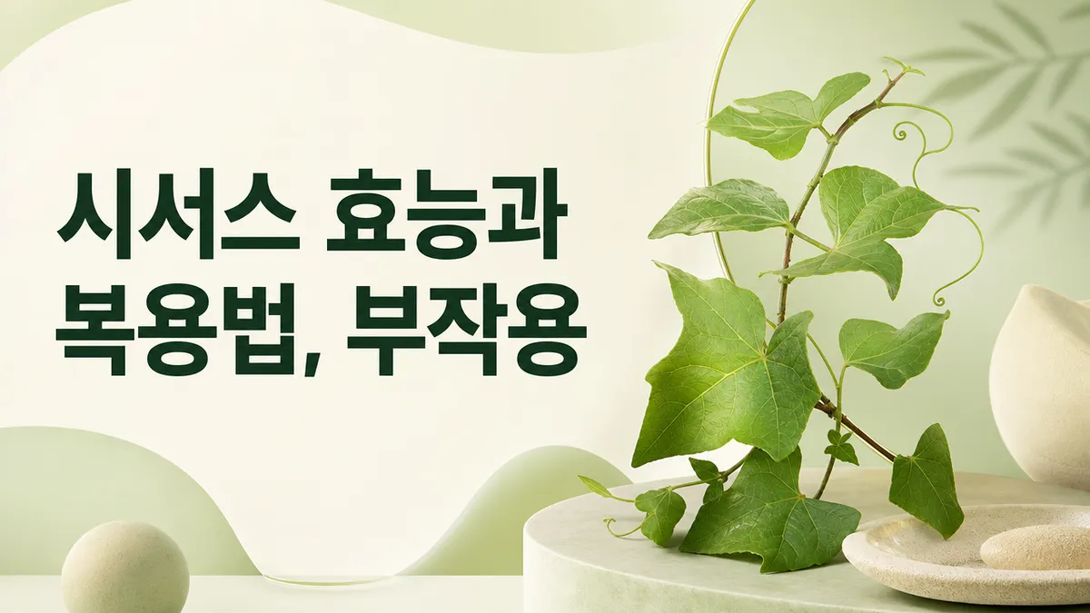 시서스 효능, 관절과 체중 근거는 어디까지인가
