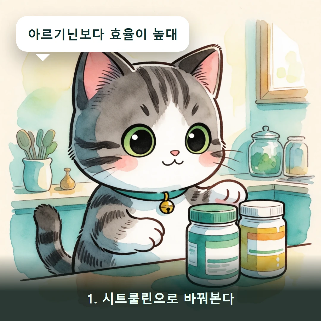 웹툰 1컷 — 1. 시트룰린으로 바꿔본다 (아르기닌보다 효율이 높대)