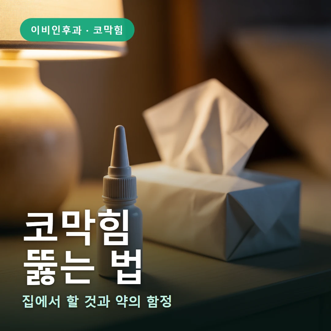 코막힘 요약 표지 — 집에서 할 것과 약의 함정