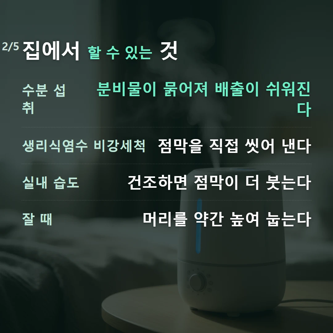 집에서 할 수 있는 것 — 수분 섭취 분비물이 묽어져 배출이 쉬워진다, 생리식염수 비강세척 점막을 직접 씻어 낸다, 실내 습도 건조하면 점막이 더 붓는다, 잘 때 머리를 약간 높여 눕는다