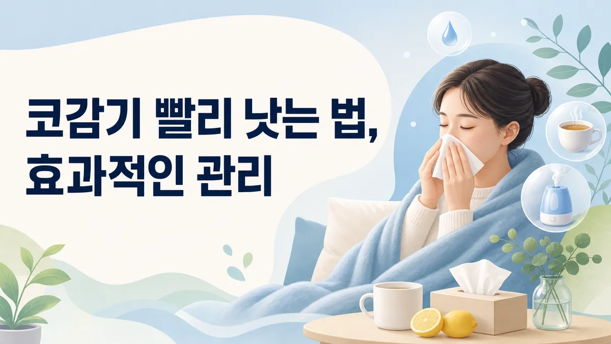 코감기 빨리 낫는 법, 효과적인 관리