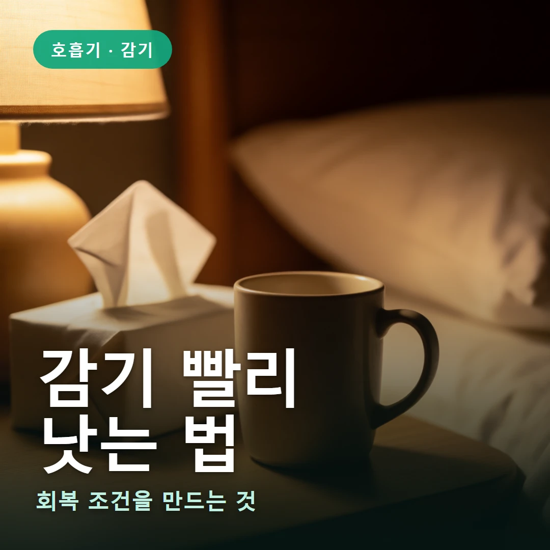 감기 빨리 낫는 법 요약 표지 — 회복 조건을 만드는 것