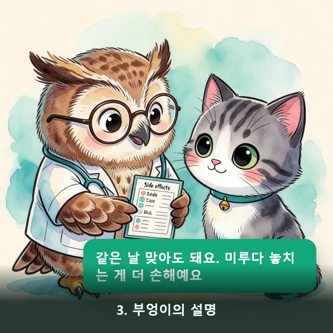웹툰 3컷 — 3. 부엉이의 설명 (같은 날 맞아도 돼요. 미루다 놓치는 게 더 손해예요)