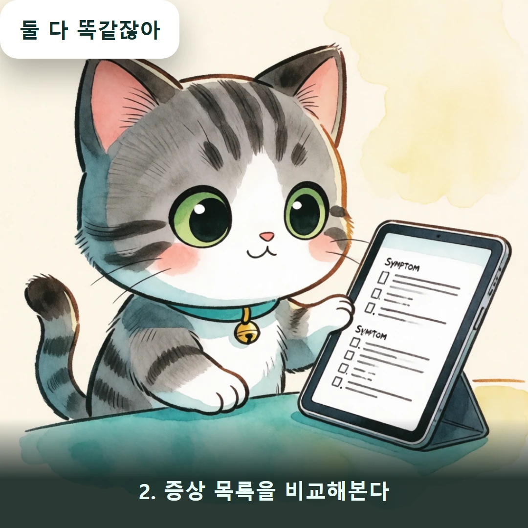 웹툰 2컷 — 2. 증상 목록을 비교해본다 (둘 다 똑같잖아)