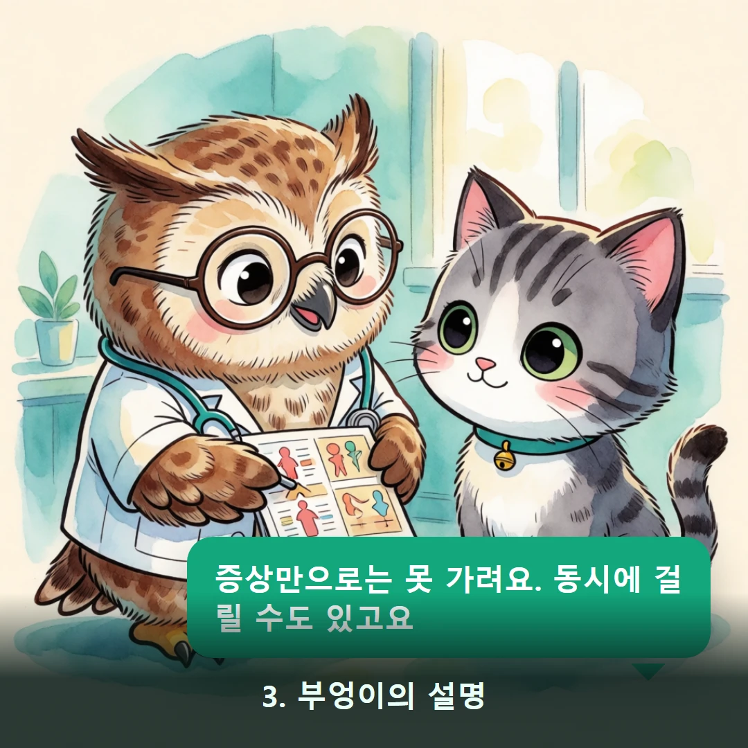 웹툰 3컷 — 3. 부엉이의 설명 (증상만으로는 못 가려요. 동시에 걸릴 수도 있고요)
