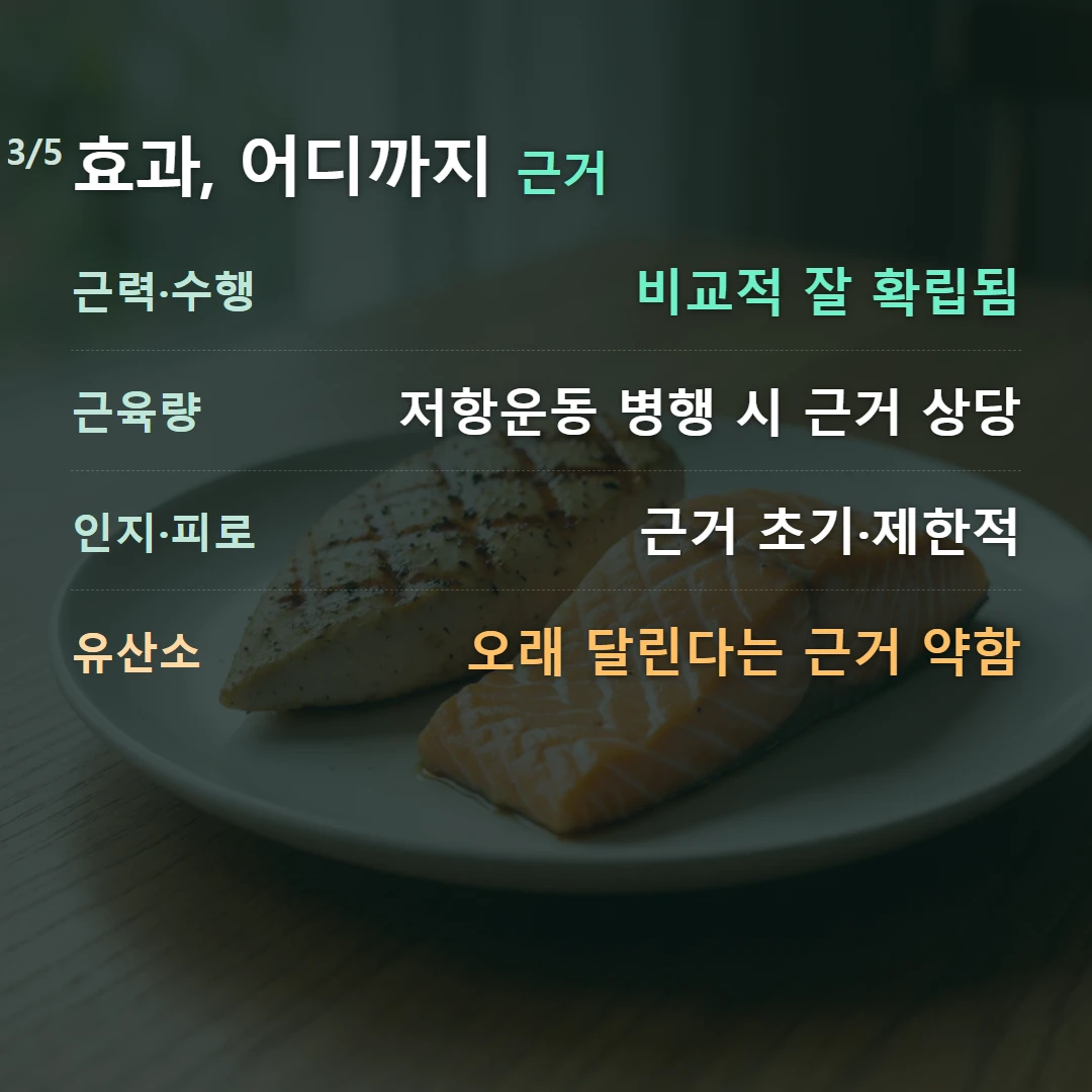 효과, 어디까지 근거 — 근력·수행 비교적 잘 확립됨, 근육량 저항운동 병행 시 근거 상당, 인지·피로 근거 초기·제한적, 유산소 오래 달린다는 근거 약함