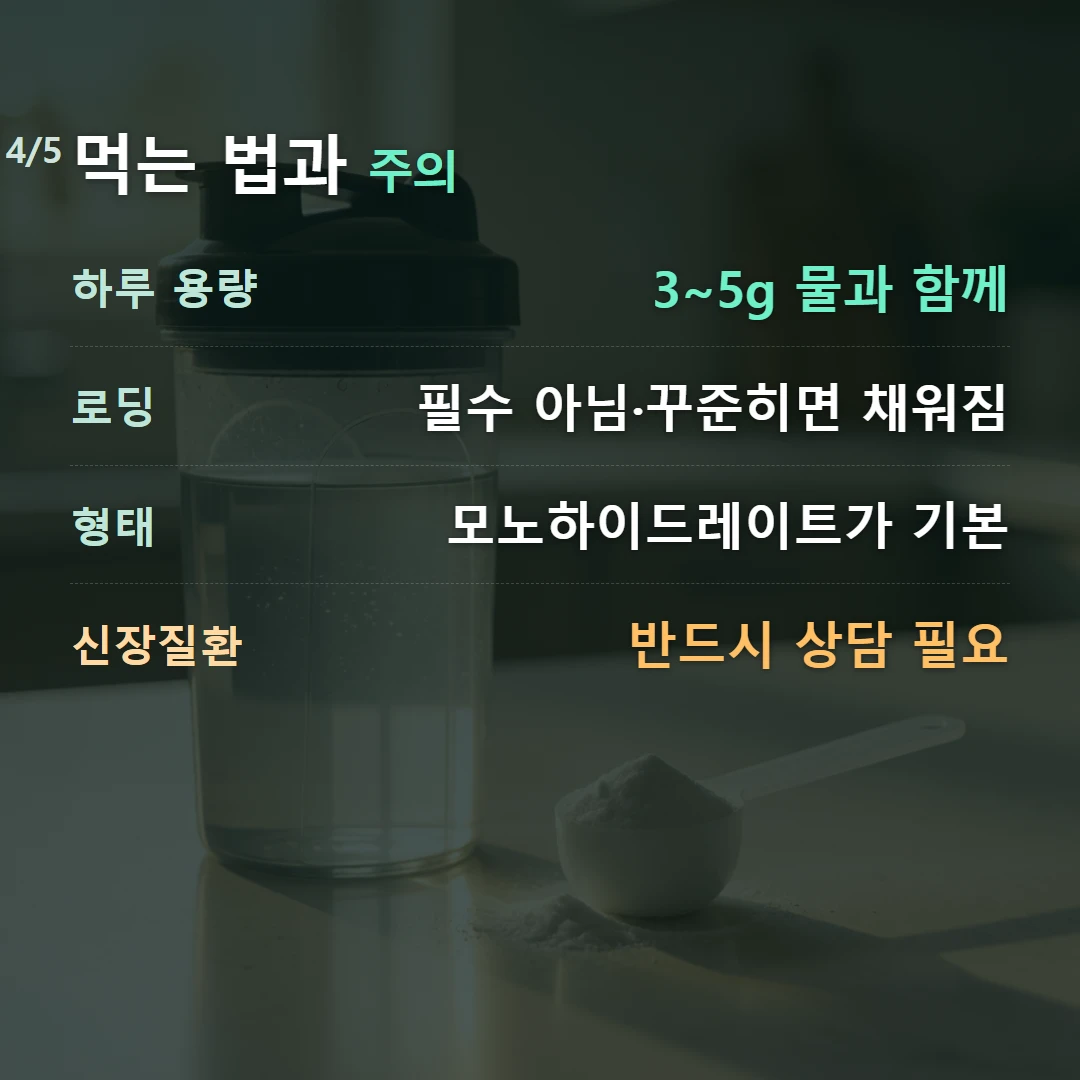 먹는 법과 주의 — 하루 용량 3~5g 물과 함께, 로딩 필수 아님·꾸준히면 채워짐, 형태 모노하이드레이트가 기본, 신장질환 반드시 상담 필요