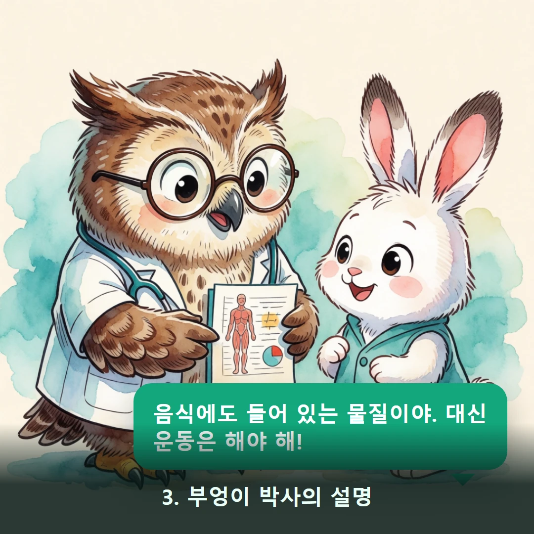 웹툰 3컷 — 3. 부엉이 박사의 설명 (음식에도 들어 있는 물질이야. 대신 운동은 해야 해!)