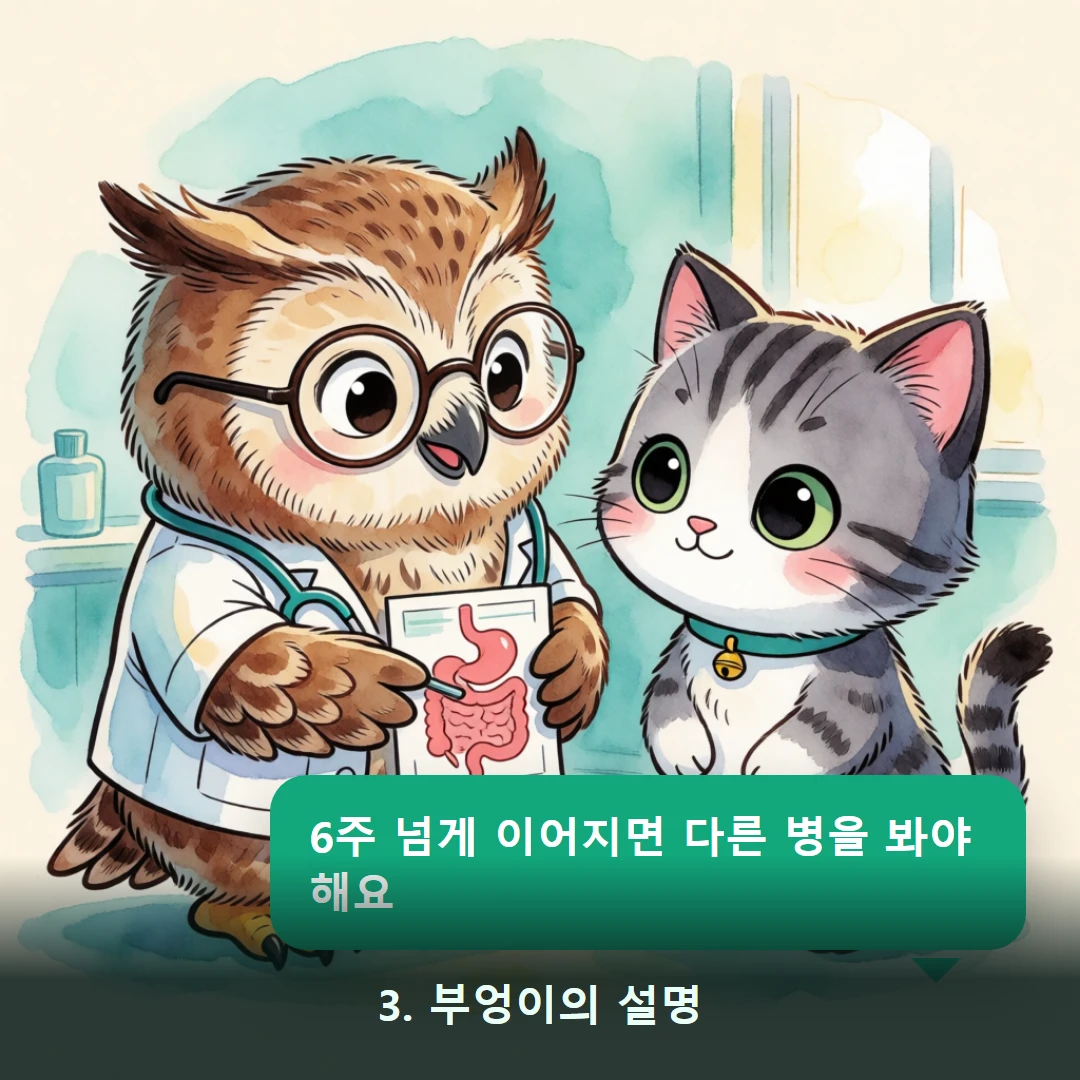 웹툰 3컷 — 3. 부엉이의 설명 (6주 넘게 이어지면 다른 병을 봐야 해요)