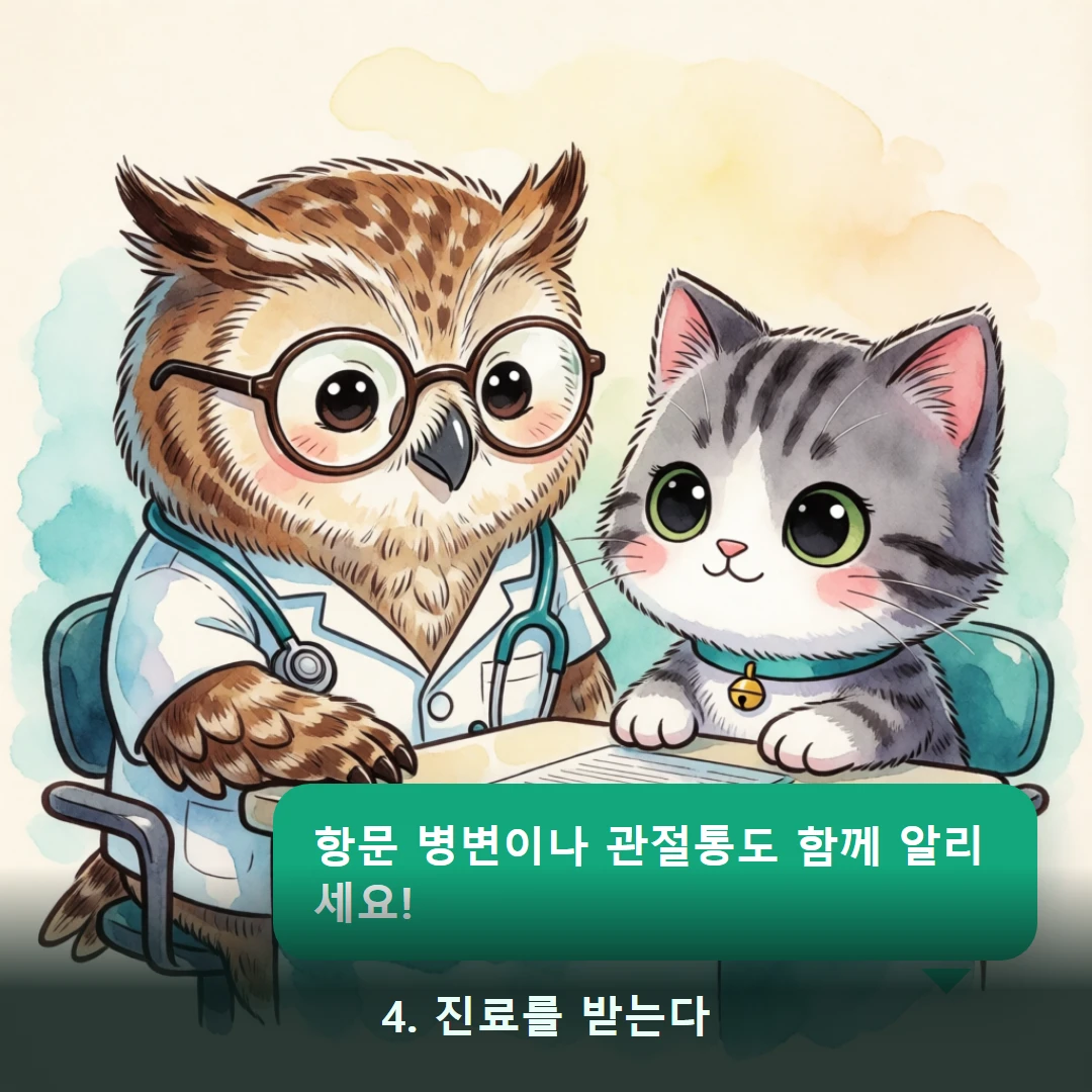 웹툰 4컷 — 4. 진료를 받는다 (항문 병변이나 관절통도 함께 알리세요!)