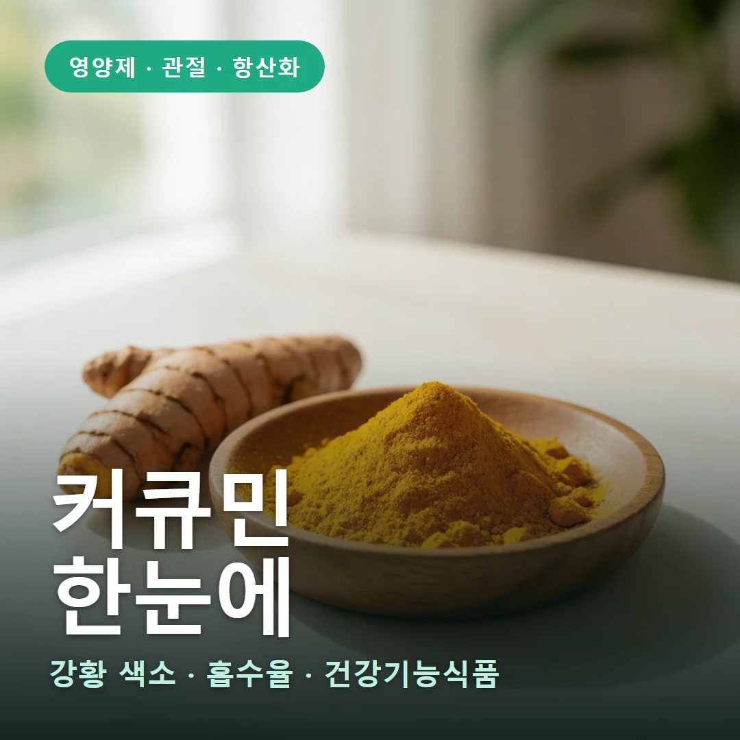 커큐민 요약 표지 — 강황 색소 · 흡수율 · 건강기능식품