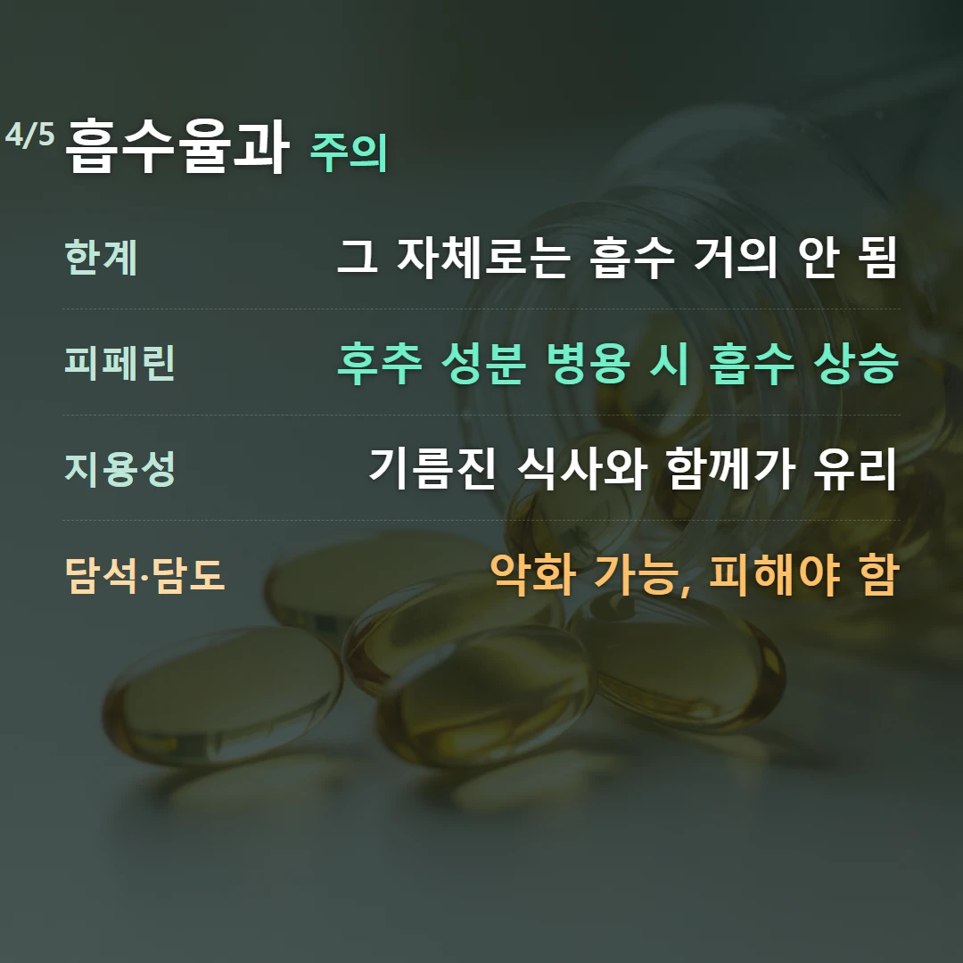 흡수율과 주의 — 한계 그 자체로는 흡수 거의 안 됨, 피페린 후추 성분 병용 시 흡수 상승, 지용성 기름진 식사와 함께가 유리, 담석·담도 악화 가능, 피해야 함
