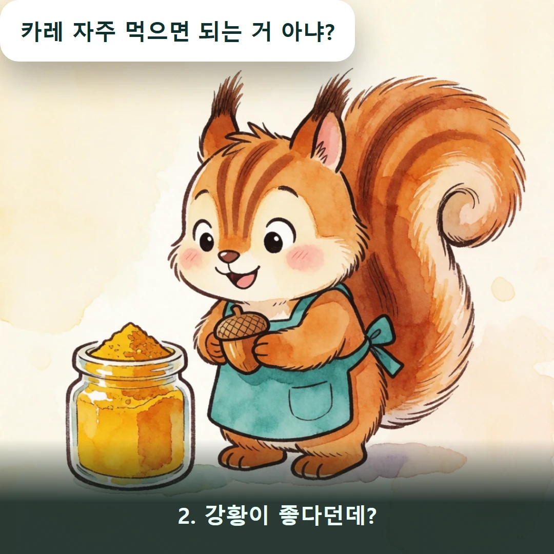 웹툰 2컷 — 2. 강황이 좋다던데? (카레 자주 먹으면 되는 거 아냐?)