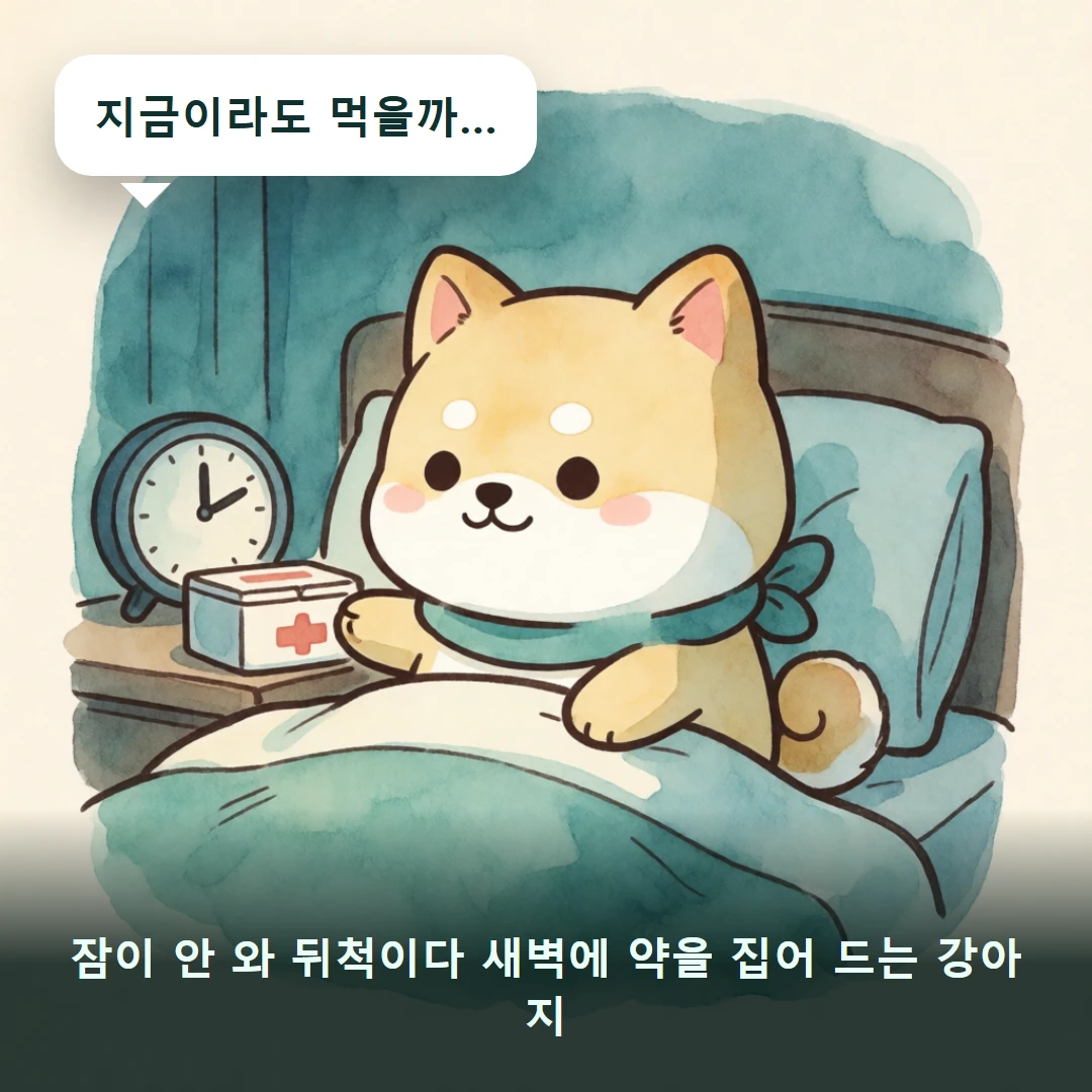 웹툰 1컷 — 잠이 안 와 뒤척이다 새벽에 약을 집어 드는 강아지 (지금이라도 먹을까…)