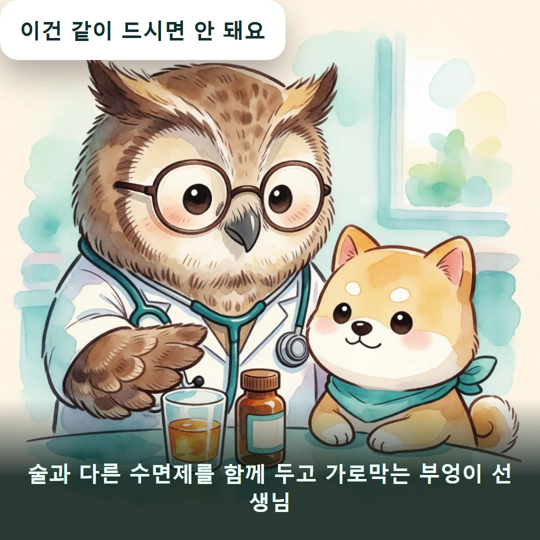 웹툰 3컷 — 술과 다른 수면제를 함께 두고 가로막는 부엉이 선생님 (이건 같이 드시면 안 돼요)