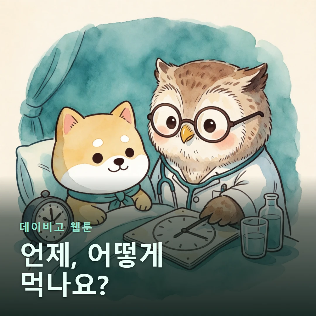 데이비고 웹툰 표지 — 언제, 어떻게 먹나요?