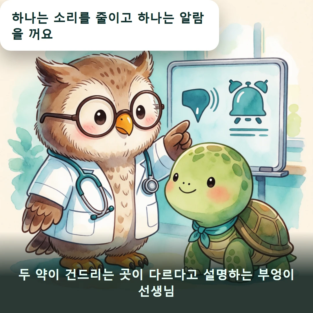 웹툰 2컷 — 두 약이 건드리는 곳이 다르다고 설명하는 부엉이 선생님 (하나는 소리를 줄이고 하나는 알람을 꺼요)