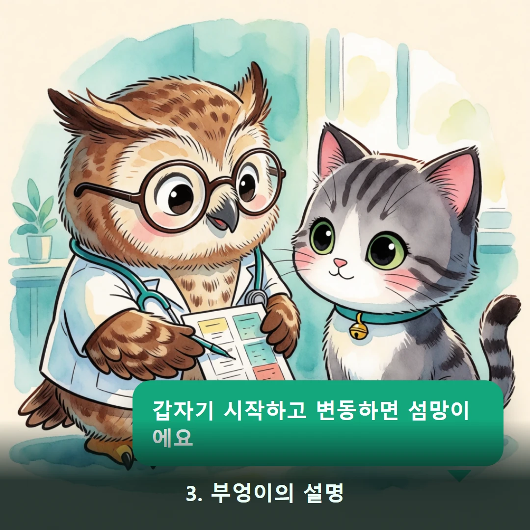 웹툰 3컷 — 3. 부엉이의 설명 (갑자기 시작하고 변동하면 섬망이에요)