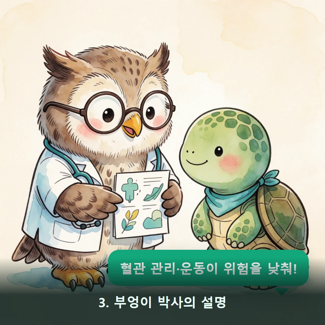 웹툰 3컷 — 3. 부엉이 박사의 설명 (혈관 관리·운동이 위험을 낮춰!)