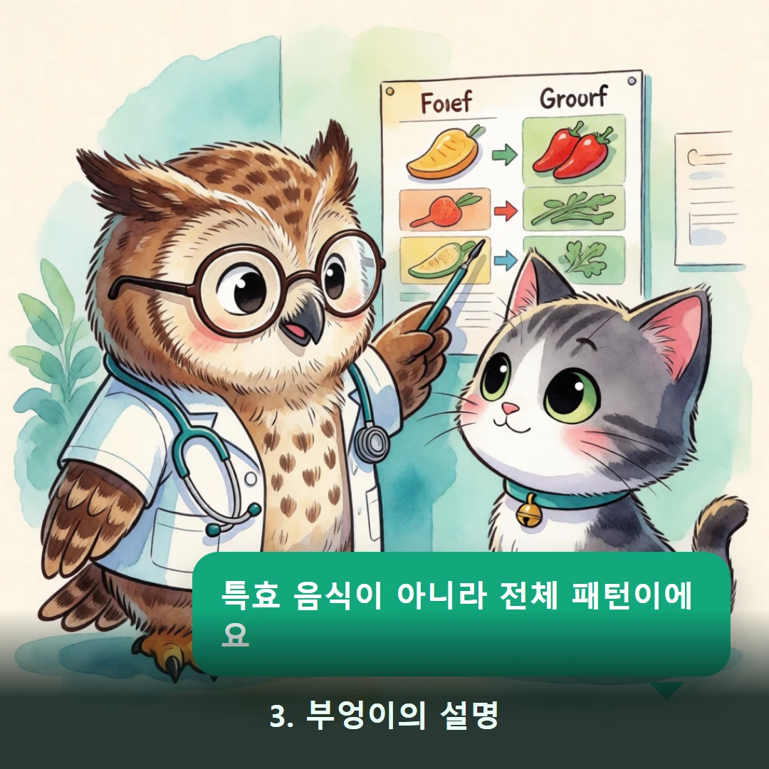 웹툰 3컷 — 3. 부엉이의 설명 (특효 음식이 아니라 전체 패턴이에요)