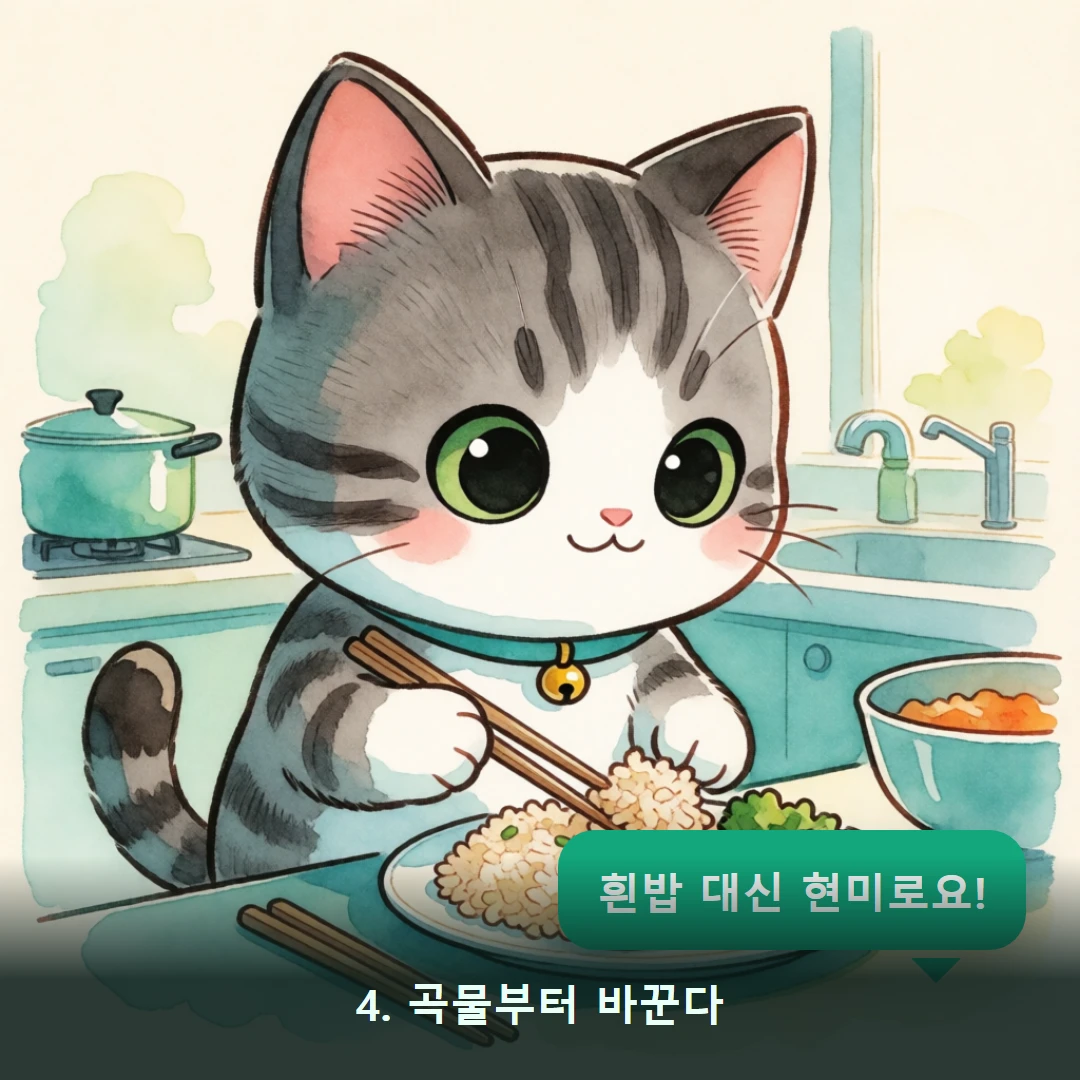 웹툰 4컷 — 4. 곡물부터 바꾼다 (흰밥 대신 현미로요!)