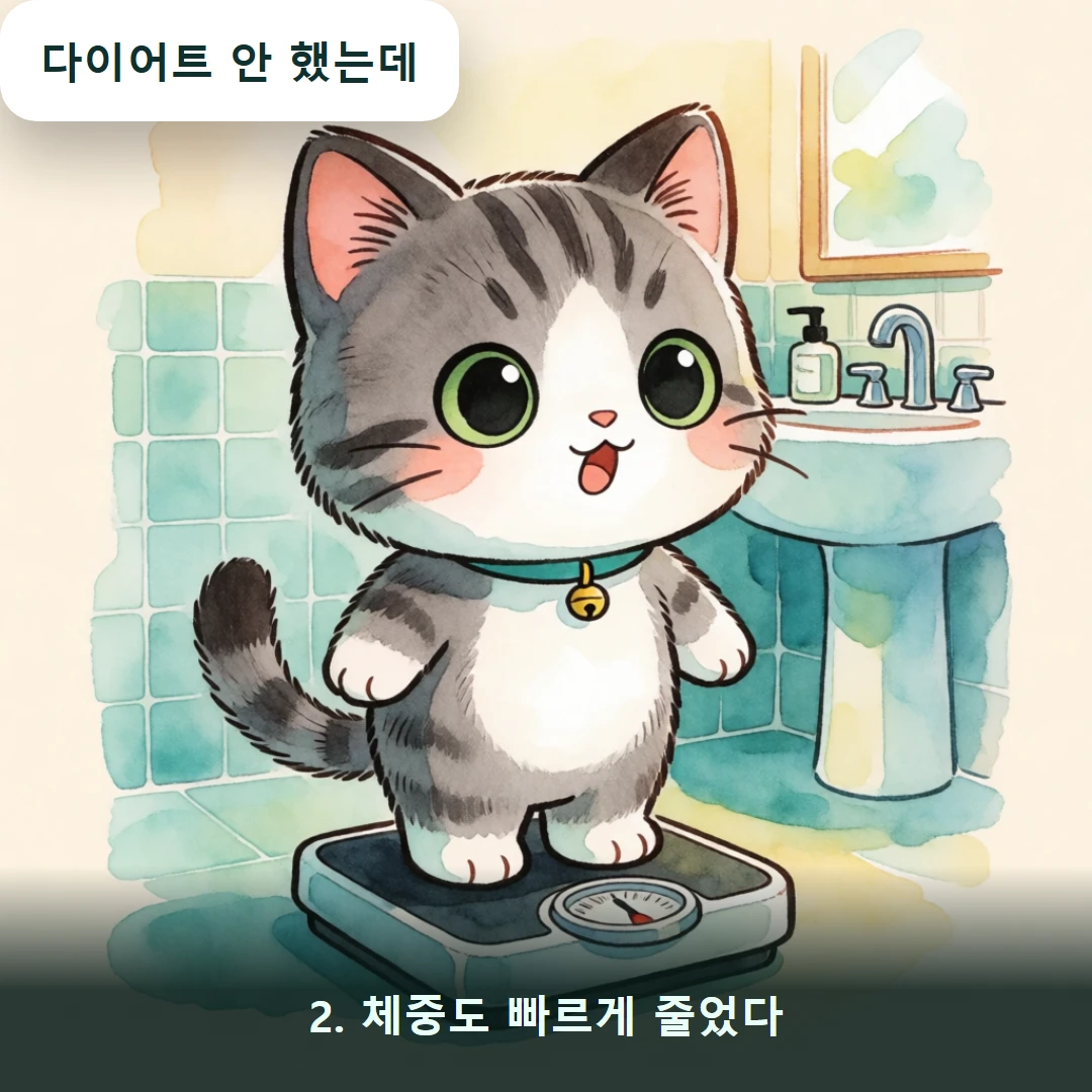 웹툰 2컷 — 2. 체중도 빠르게 줄었다 (다이어트 안 했는데)