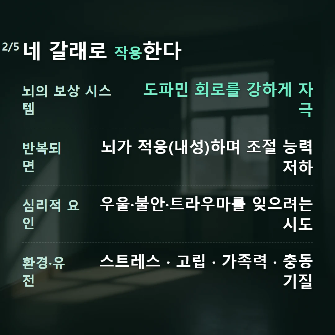 네 갈래로 작용한다 — 뇌의 보상 시스템 도파민 회로를 강하게 자극, 반복되면 뇌가 적응(내성)하며 조절 능력 저하, 심리적 요인 우울·불안·트라우마를 잊으려는 시도, 환경·유전 스트레스 · 고립 · 가족력 · 충동 기질