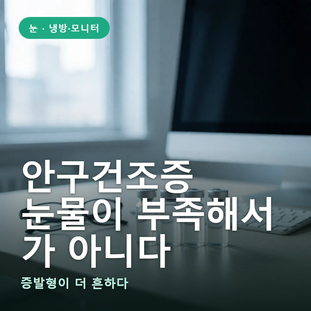 안구건조증 요약 표지 — 증발형이 더 흔하다