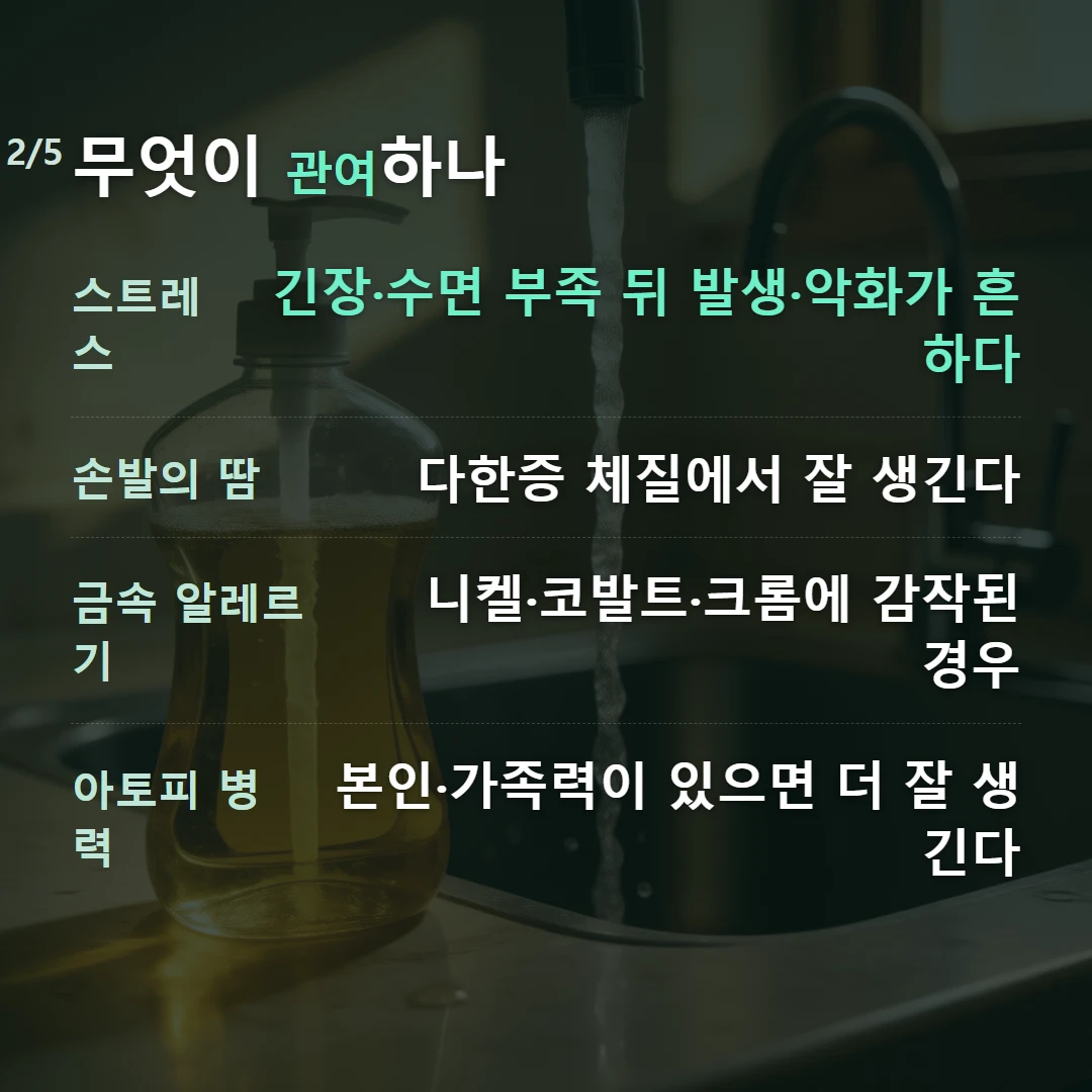 무엇이 관여하나 — 스트레스 긴장·수면 부족 뒤 발생·악화가 흔하다, 손발의 땀 다한증 체질에서 잘 생긴다, 금속 알레르기 니켈·코발트·크롬에 감작된 경우, 아토피 병력 본인·가족력이 있으면 더 잘 생긴다