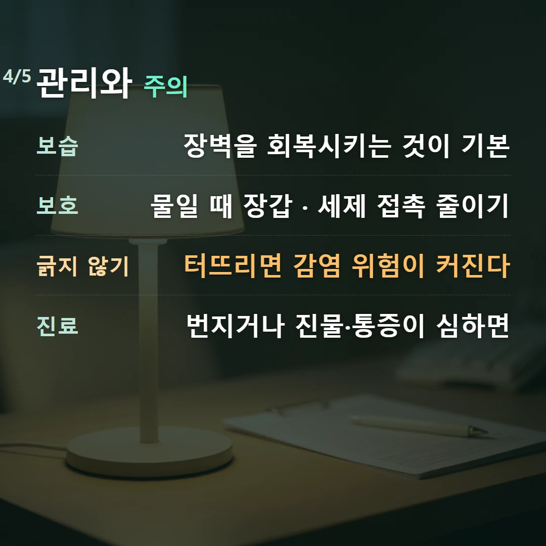관리와 주의 — 보습 장벽을 회복시키는 것이 기본, 보호 물일 때 장갑 · 세제 접촉 줄이기, 긁지 않기 터뜨리면 감염 위험이 커진다, 진료 번지거나 진물·통증이 심하면
