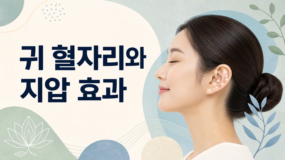 귀 혈자리와 지압 효과