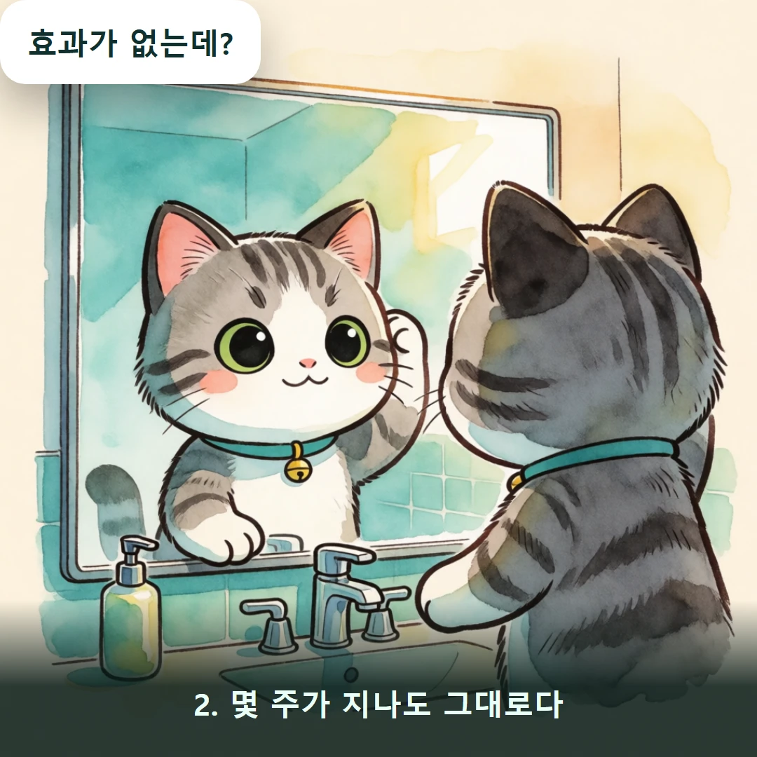 웹툰 2컷 — 2. 몇 주가 지나도 그대로다 (효과가 없는데?)
