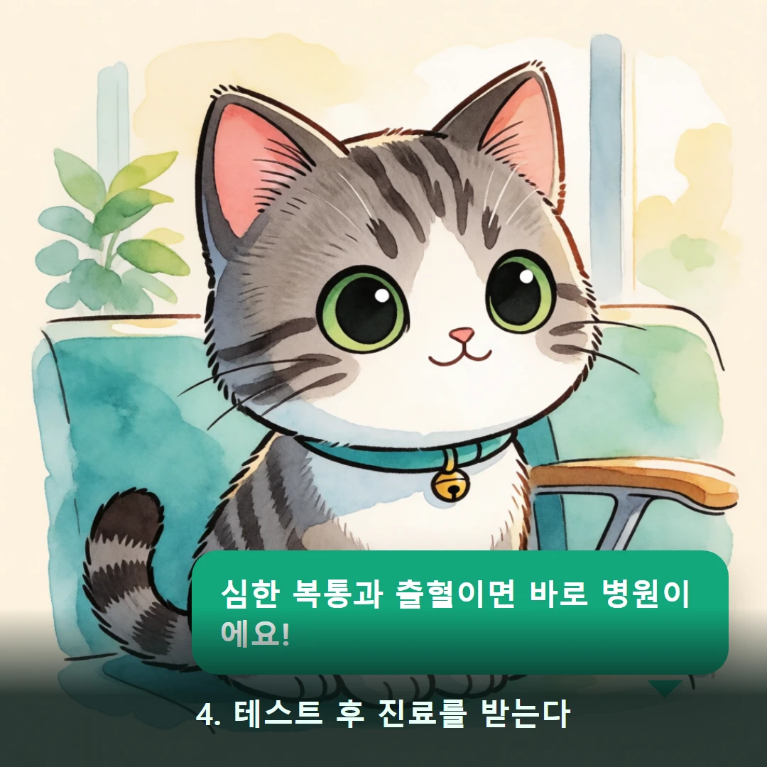웹툰 4컷 — 4. 테스트 후 진료를 받는다 (심한 복통과 출혈이면 바로 병원이에요!)