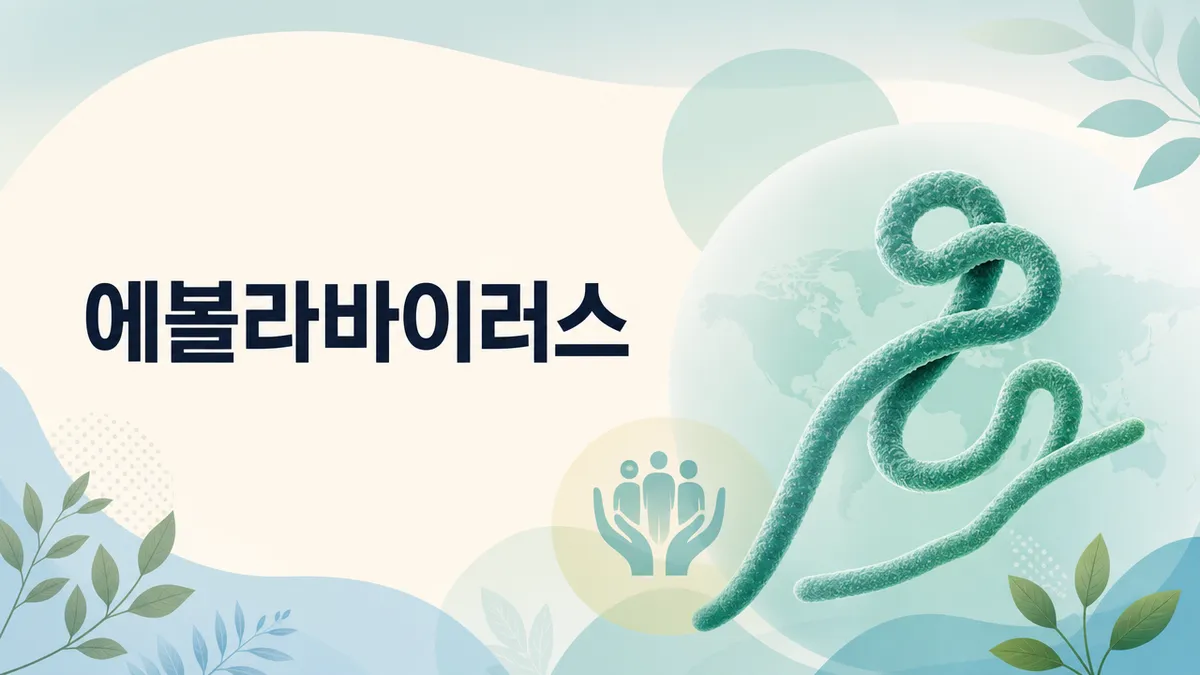 에볼라바이러스병 증상과 잠복기, 국내 위험은