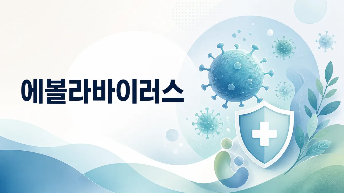 에볼라바이러스 전염 경로와 국내 유입 위험도 총정리