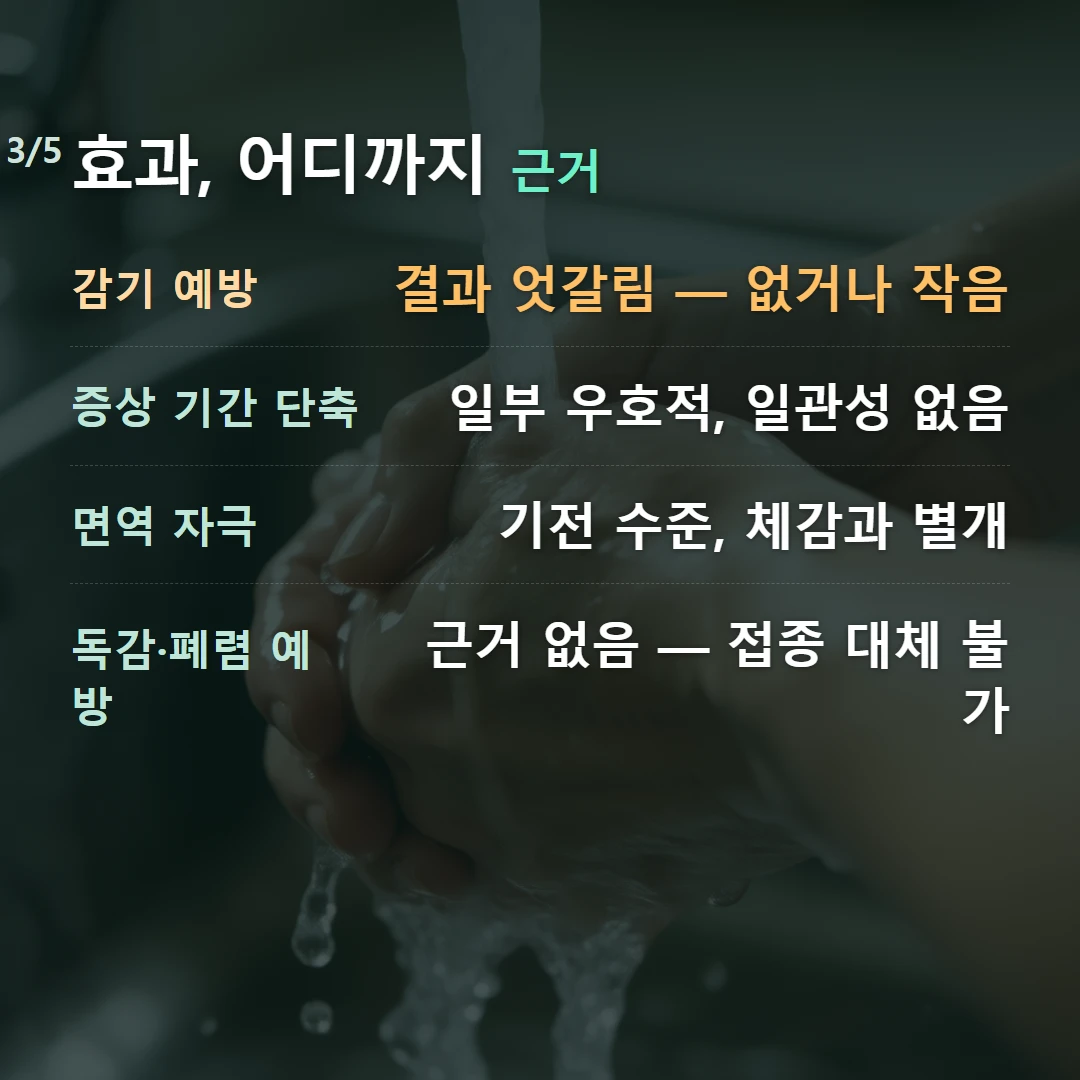 효과, 어디까지 근거 — 감기 예방 결과 엇갈림 — 없거나 작음, 증상 기간 단축 일부 우호적, 일관성 없음, 면역 자극 기전 수준, 체감과 별개, 독감·폐렴 예방 근거 없음 — 접종 대체 불가