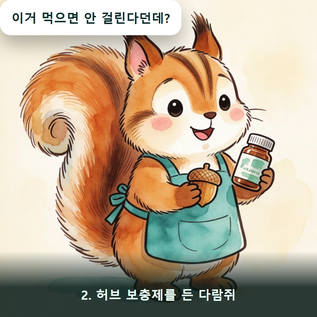 웹툰 2컷 — 2. 허브 보충제를 든 다람쥐 (이거 먹으면 안 걸린다던데?)