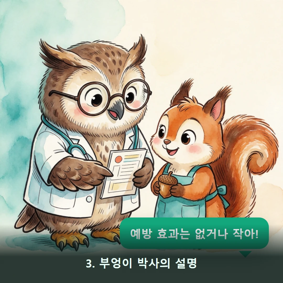 웹툰 3컷 — 3. 부엉이 박사의 설명 (예방 효과는 없거나 작아!)