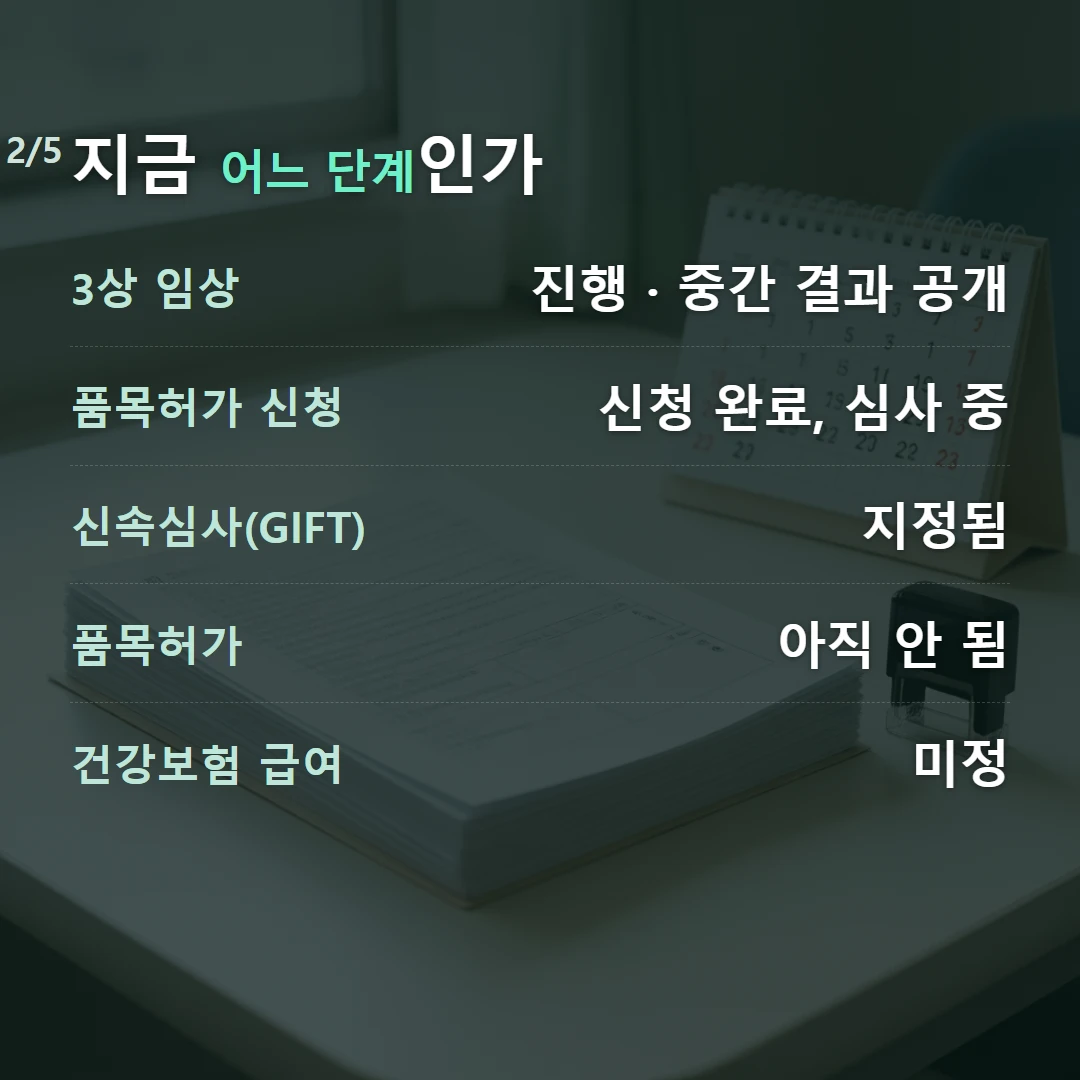 지금 어느 단계인가 — 3상 임상 진행 · 중간 결과 공개, 품목허가 신청 신청 완료, 심사 중, 신속심사(GIFT) 지정됨, 품목허가 아직 안 됨, 건강보험 급여 미정