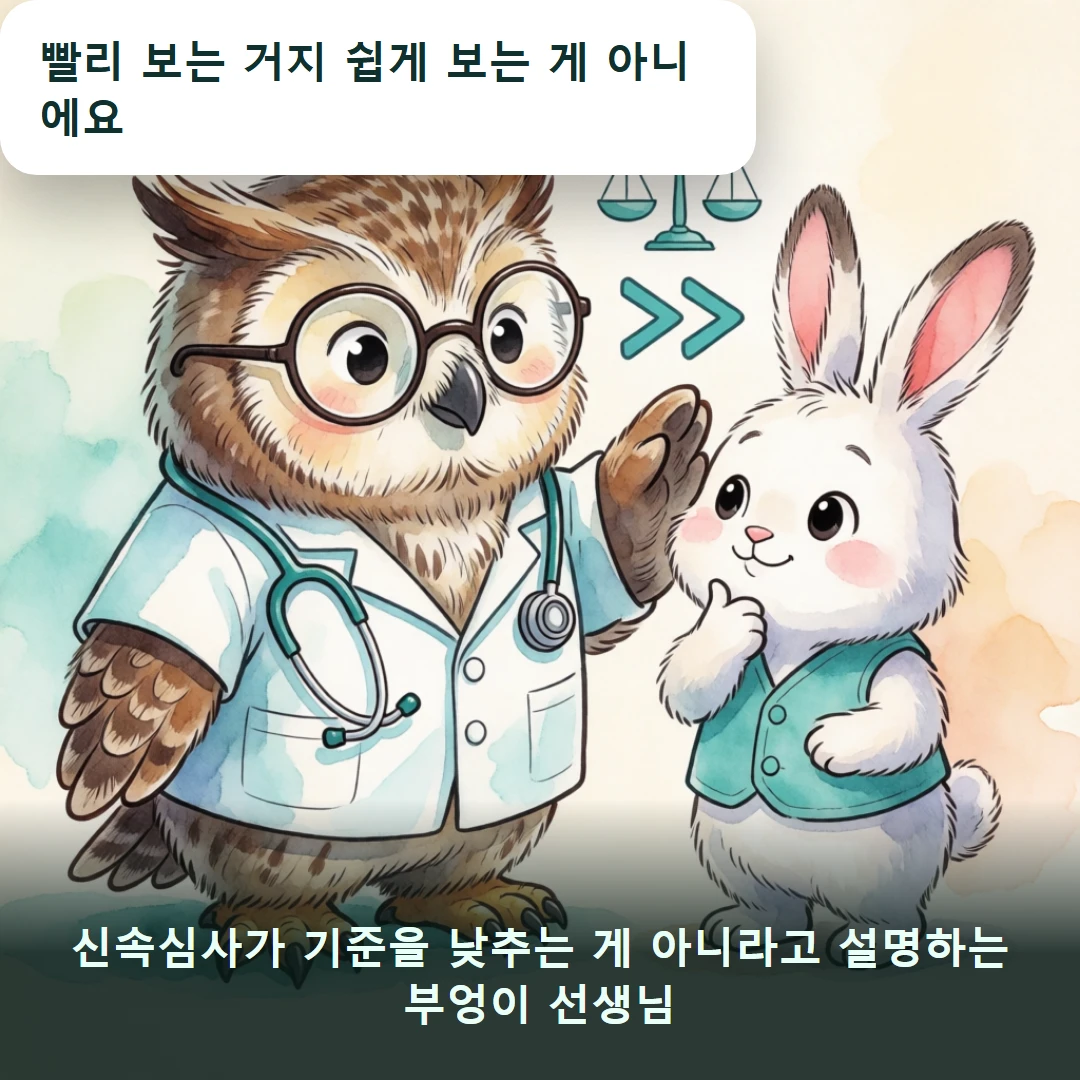 웹툰 3컷 — 신속심사가 기준을 낮추는 게 아니라고 설명하는 부엉이 선생님 (빨리 보는 거지 쉽게 보는 게 아니에요)