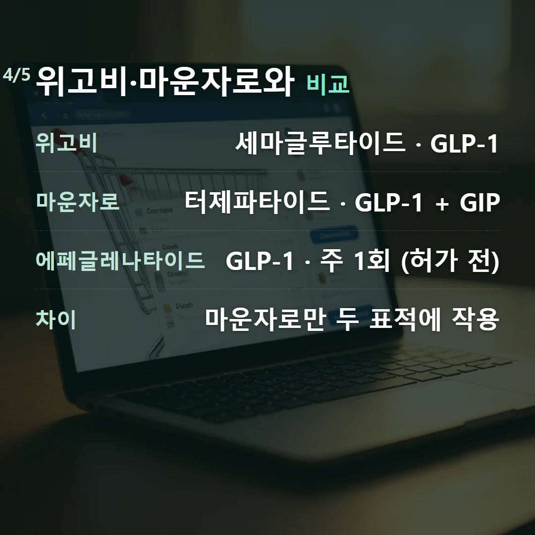 위고비·마운자로와 비교 — 위고비 세마글루타이드 · GLP-1, 마운자로 터제파타이드 · GLP-1 + GIP, 에페글레나타이드 GLP-1 · 주 1회 (허가 전), 차이 마운자로만 두 표적에 작용