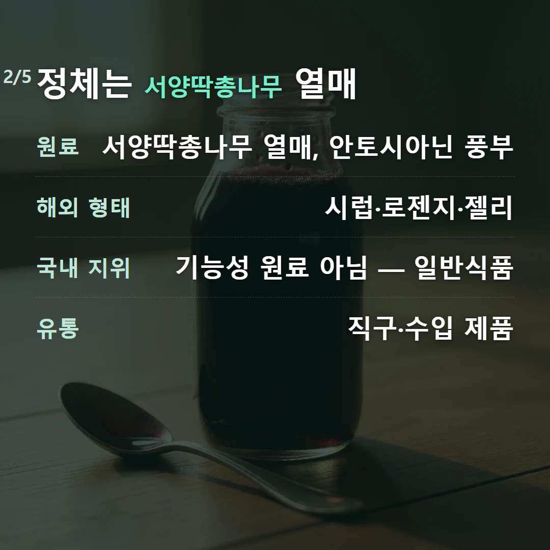 정체는 서양딱총나무 열매 — 원료 서양딱총나무 열매, 안토시아닌 풍부, 해외 형태 시럽·로젠지·젤리, 국내 지위 기능성 원료 아님 — 일반식품, 유통 직구·수입 제품