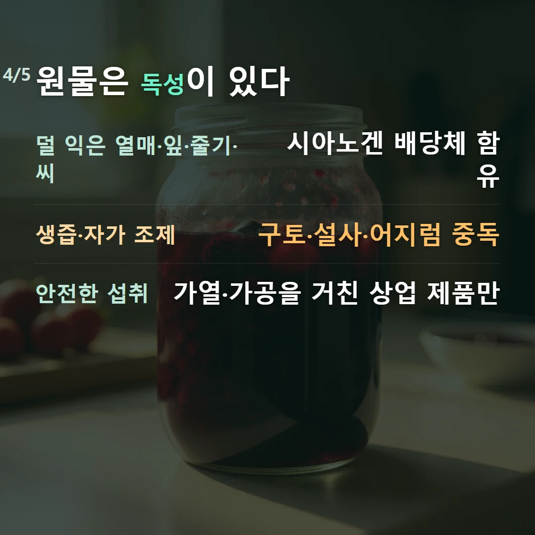 원물은 독성이 있다 — 덜 익은 열매·잎·줄기·씨 시아노겐 배당체 함유, 생즙·자가 조제 구토·설사·어지럼 중독, 안전한 섭취 가열·가공을 거친 상업 제품만