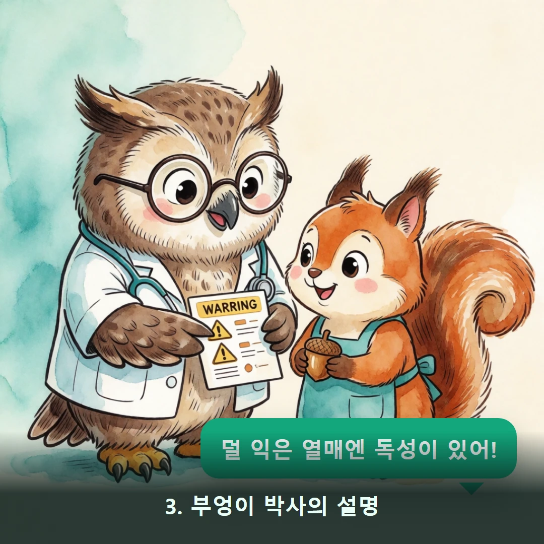 웹툰 3컷 — 3. 부엉이 박사의 설명 (덜 익은 열매엔 독성이 있어!)
