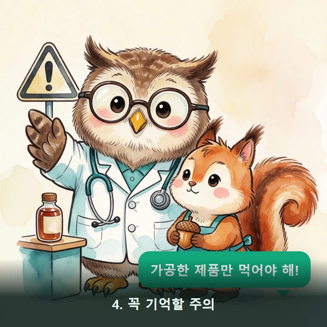 웹툰 4컷 — 4. 꼭 기억할 주의 (가공한 제품만 먹어야 해!)