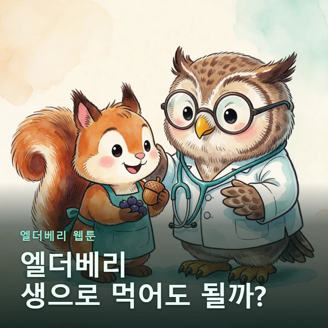 엘더베리 웹툰 표지 — 엘더베리 생으로 먹어도 될까?