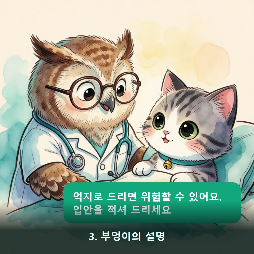 웹툰 3컷 — 3. 부엉이의 설명 (억지로 드리면 위험할 수 있어요. 입안을 적셔 드리세요)